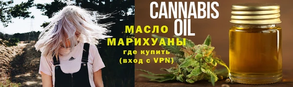 хмурый Арсеньев