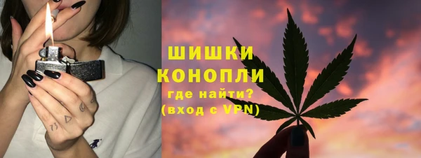 хмурый Арсеньев