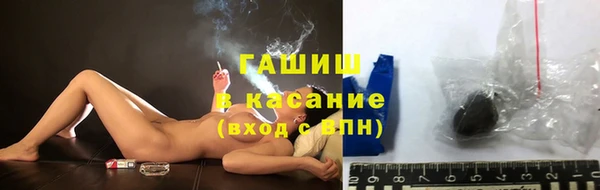 хмурый Арсеньев