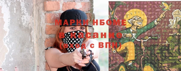 хмурый Арсеньев