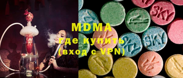 хмурый Арсеньев